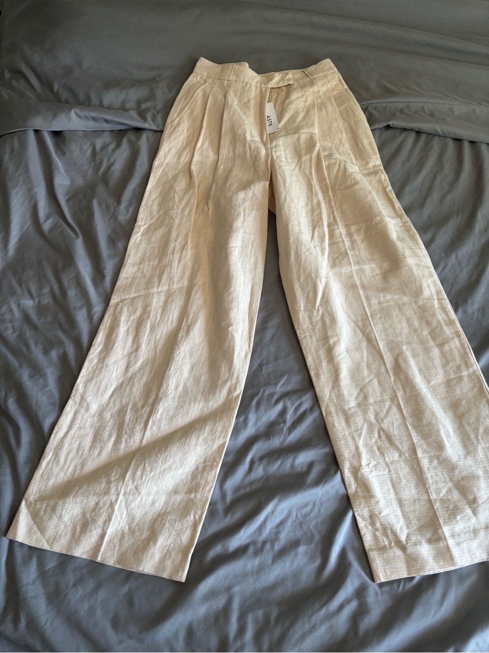 ASTR the Label Bryony Linen Blend Pleated Pants in the cream